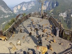 -重庆云阳龙缸景区