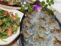 -富来美食