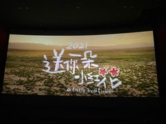 -万达影城(汉街万达广场IMAX店)