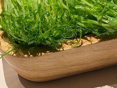 -盡膳口福跷脚牛肉火锅(北美新天地店)