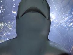 -合肥海洋世界