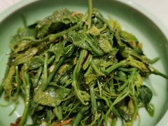 -金蝉食府(维吉奥广场店)