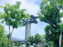 -苏州乐园森林水世界