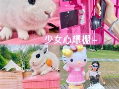-云栖山谷野奢营地