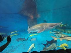 -多彩贵州城极地海洋世界