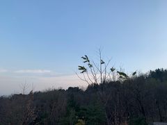-北京鹫峰国家森林公园