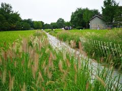 -北坞公园