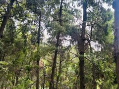 -金堂县云顶石城风景区