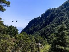 -苍山感通索道