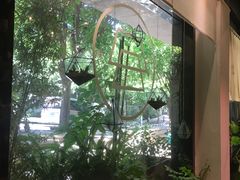 -柴务处·柴犬主题狗咖