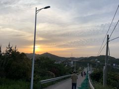 -枸杞岛