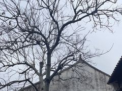 -拙政园
