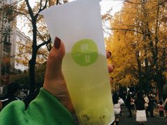 -树夏(建设路店)