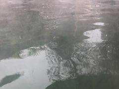 -花水湾第一村温泉大酒店