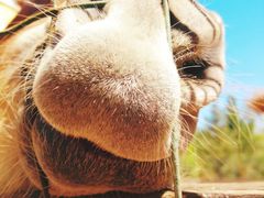 -鄂尔多斯野生动物园