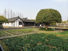 -张闻天故居