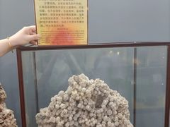 -游龙石文化科普馆