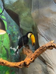 -Zoolung Zoolung动物主题公园(海信广场店)