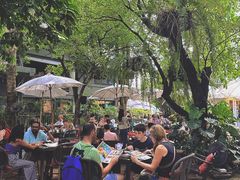 -Fern Forest Cafe