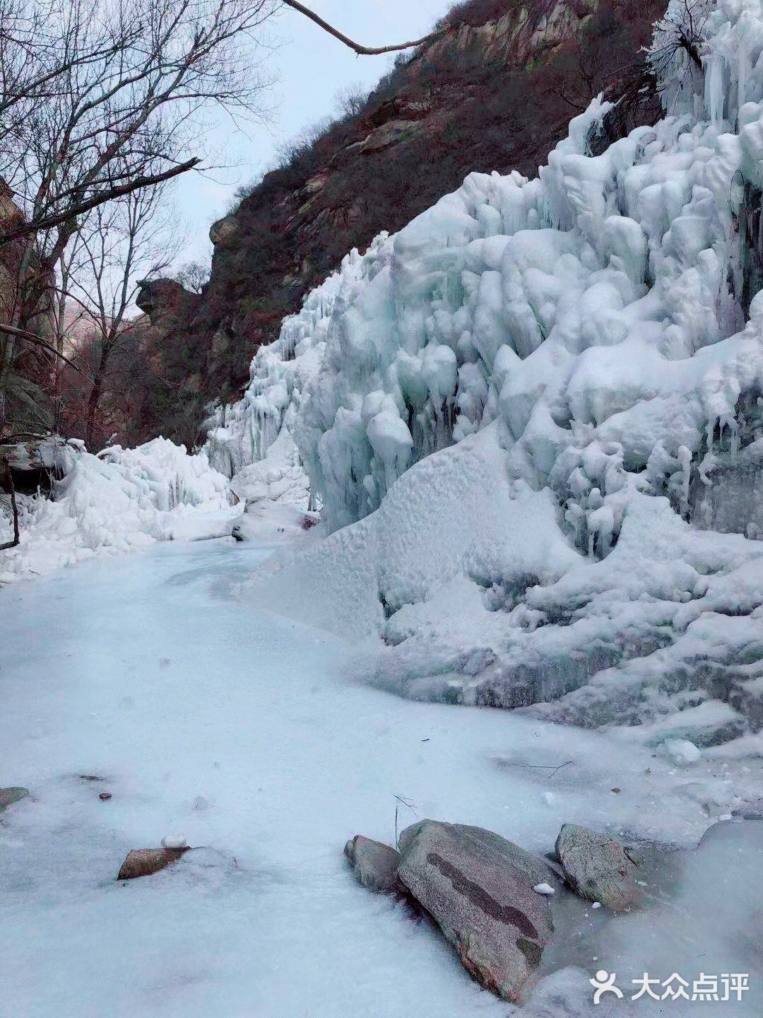 拍照玩耍，赏景，放松心情迎接牛年的到来