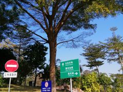 -广州莲花山旅游区