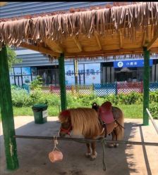 -萌宠亲子动物乐园(槐房万达店)