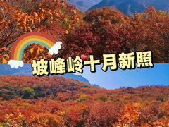 -周口店坡峰岭风景区