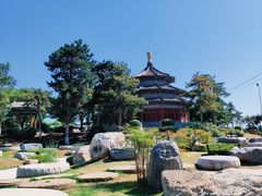 -中国唐苑