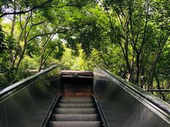 -天目湖山水园