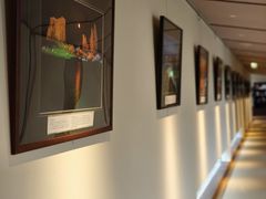 -南紀白浜 浜千鳥の湯 海舟