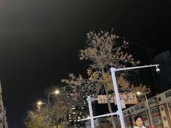 -白马宴·椒麻鸡(新华南路店)