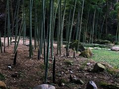 -黄檀硐景区