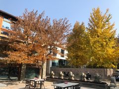 -那家山城(樱桃园店)