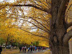 -辽宁大学(崇山校区)