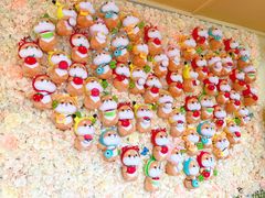 -柴犬高等学院·狗咖·柴犬售卖·宠物训练