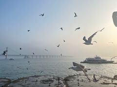 -星海广场