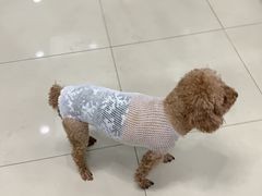 -申普宠物医院·眼科·心内科·影像科(普陀分院)