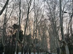 -灵谷景区