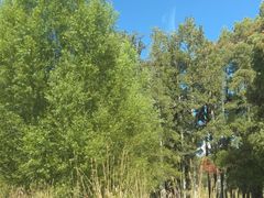 -怀托摩萤火虫洞