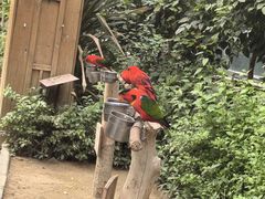 -南宫五洲植物乐园