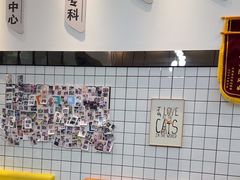 -半岛宠物医院24小时(科华中路店)