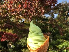 -豆政(金閣寺境内売店)