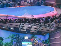 -珠海长隆海洋王国