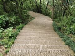 -杭州半山国家森林公园