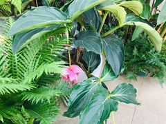 -国家植物园南园