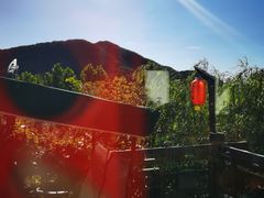 -慢丽江·云南野生菌土鸡锅(西山店)