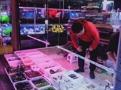 -长宁东道花卉宠物市场