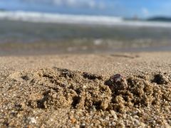 -亚龙湾海底世界