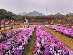 -盈香心动乐园