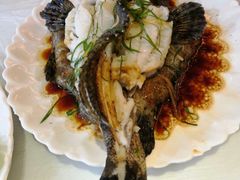 清蒸石斑鱼-覃记海鲜美食餐厅